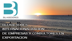 BLI Asesores en Internalización de Empresas y Consultores en Exportación